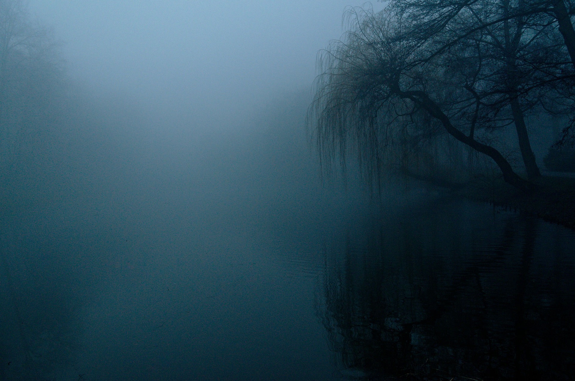 Bild von einem Gewässer im Nebel